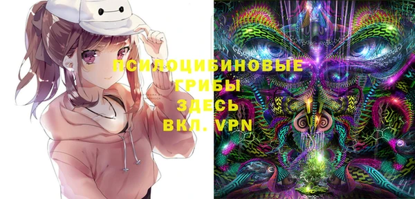 МДПВ Абдулино
