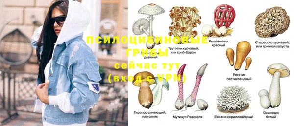 MDMA Алексеевка